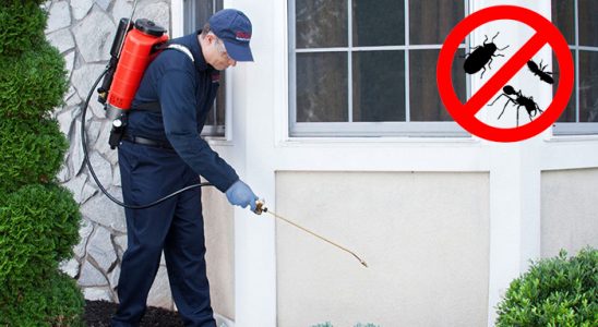 Hocalar Fare İlaçlama böcek ilaçlama ve haşere kontrolü — ilaclama-tr.com